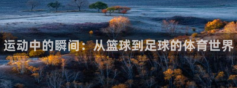 JJB竞技宝官网下载招商电话是多少啊:运动中的瞬间:从篮球到