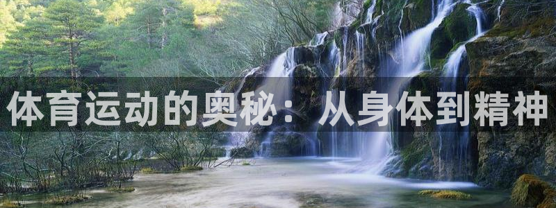 JJB竞技宝官方正版app娱乐首页官网下载:体育运动的奥秘: