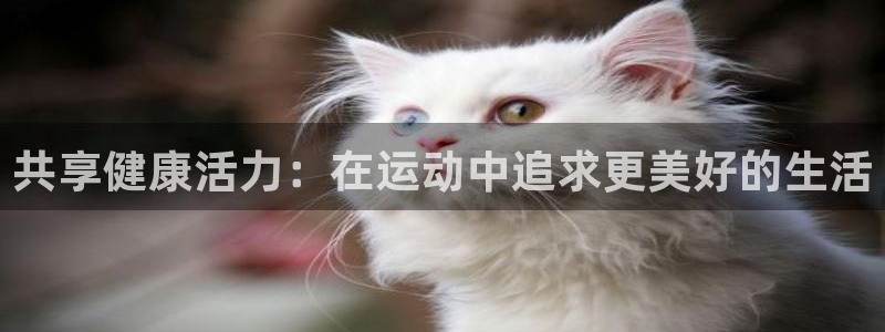 JJB竞技宝官网下载平台注册要钱吗安全吗:共享健康活力:在运