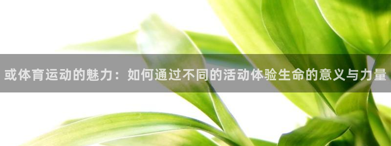 JJB竞技宝官网下载平台注册流程视频:或体育运动的魅力:如何
