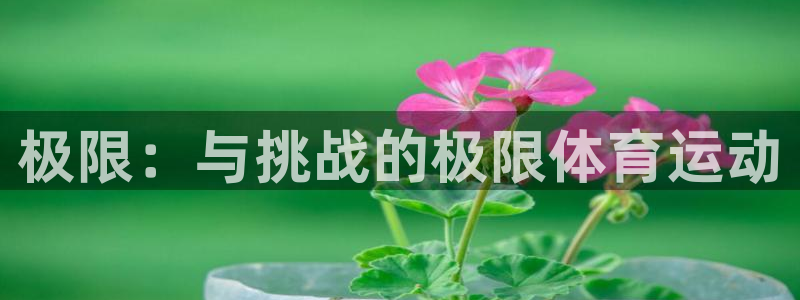 JJB竞技宝官方正版app娱乐是那个系列的台子:极限:与挑战