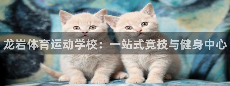JJB竞技宝官网下载:龙岩体育运动学校:一站式竞技与健身中心